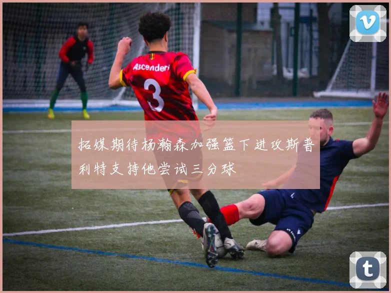 拓媒期待杨瀚森加强篮下进攻斯普利特支持他尝试三分球