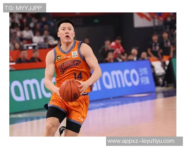 媒体人呼吁国内俱乐部重视高后卫培养应从小篮球阶段着手选拔优秀前锋 媒体人呼吁国内俱乐部重视高后卫培养应从小篮球阶段着手选拔优秀前锋